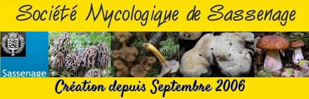 Mycologie Sassenage